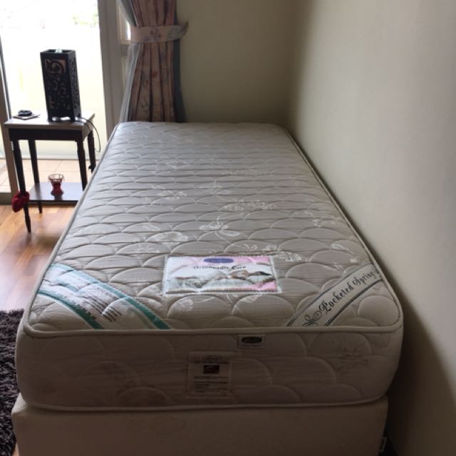 Single orthopedic bed deals