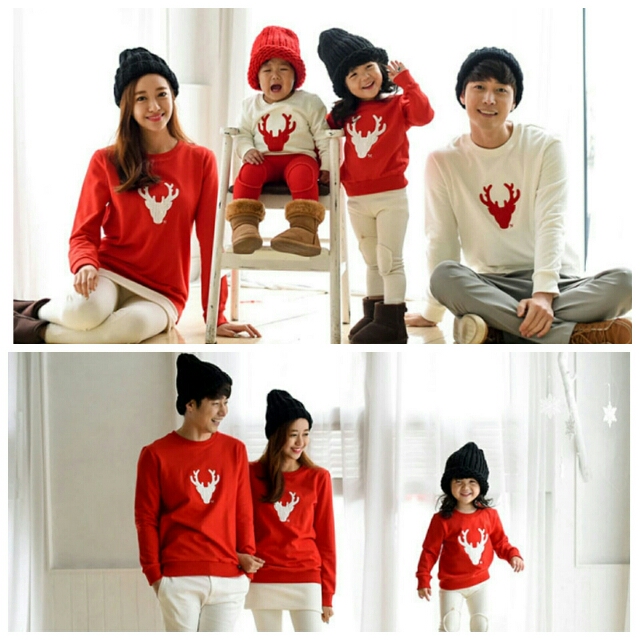 Matching sweaters for family store