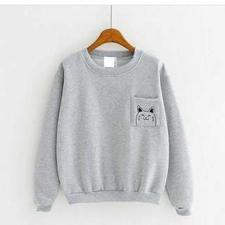 Swetter poket cat
