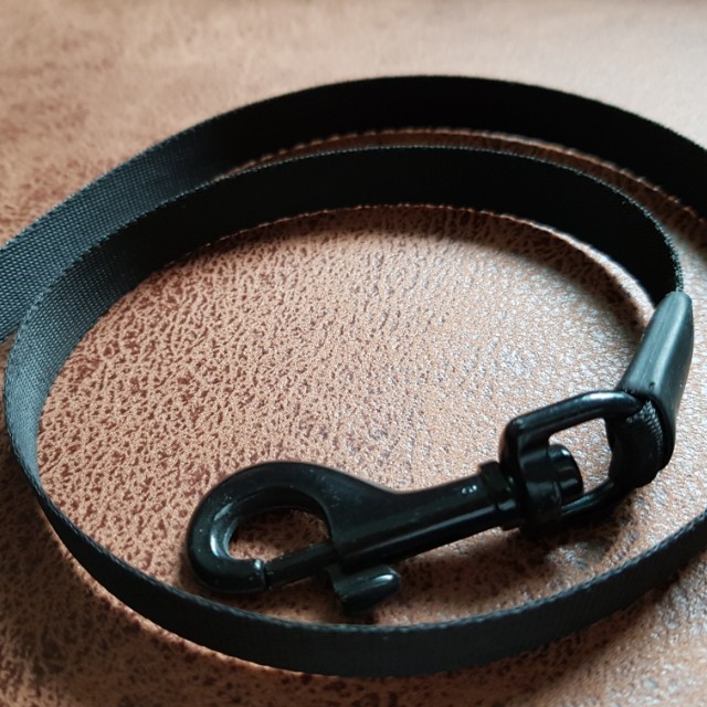 Flexi Compact 2 Retractable Dog Lead