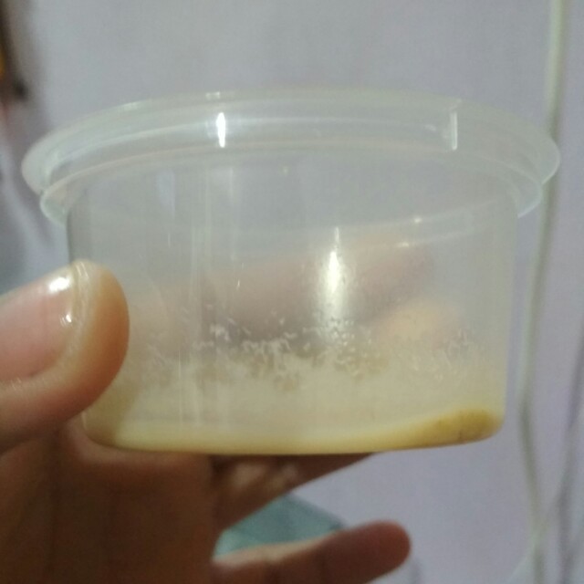 Microworm Makanan Anak Ikan Pet Supplies Pet Food On Carousell
