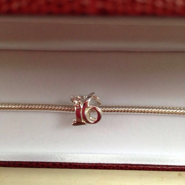 Pascoes charms on sale