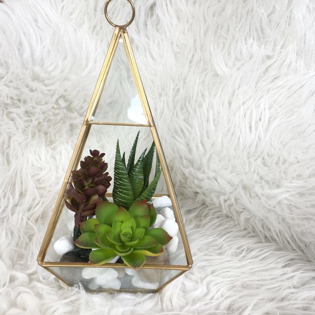 Prism Terrarium with Succulent, Furniture & Home Living, Home Decor