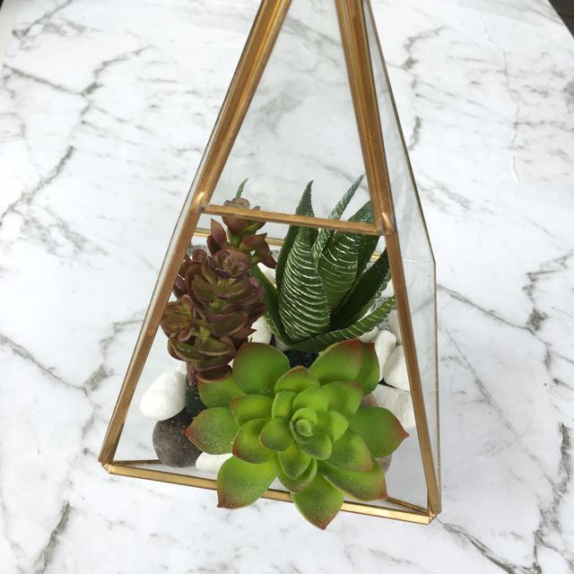 Prism Terrarium with Succulent, Furniture & Home Living, Home Decor