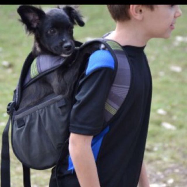 ruffit dog carrier