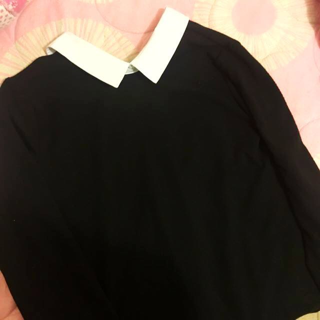 Zara Cute Black White Collar Dress Women S Fashion Clothes On
