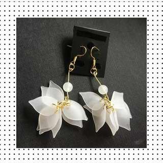 Anting2