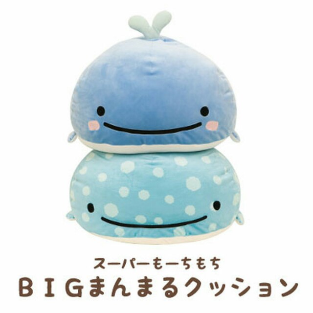 jinbei san whale shark
