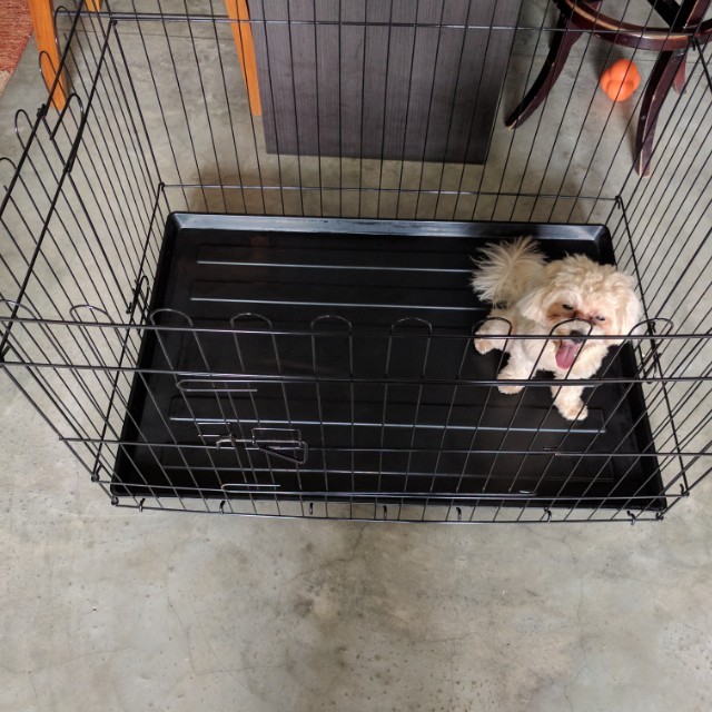 Open top dog cage, Pet Supplies, Homes & Other Pet Accessories on Carousell