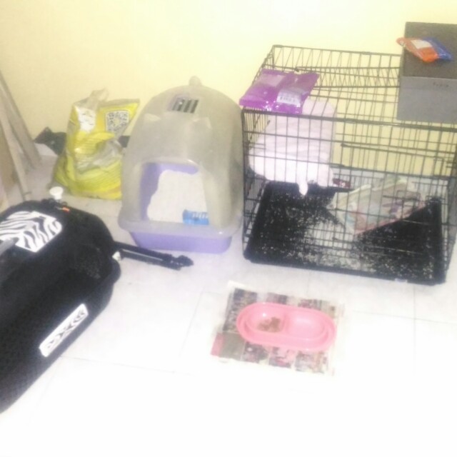 Sangkar kucing besi,cat carrier,smartshif toilet kucimg, Pet