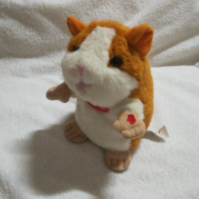 chatimal the talking hamster