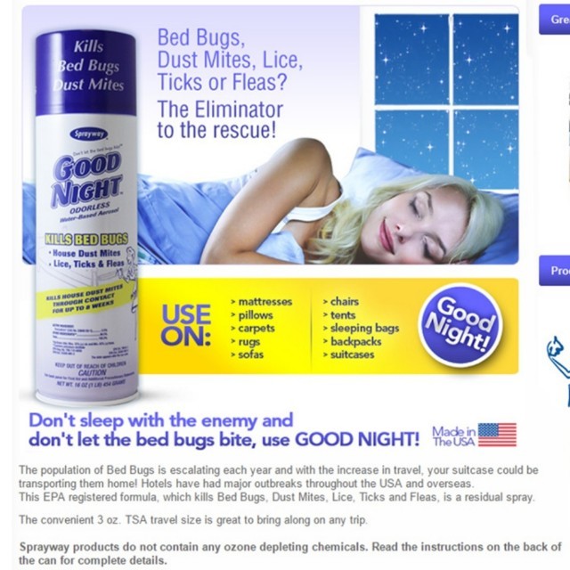 Sw003r Good Night Aerosol Spray Kill Bed Bug And Mites Made And Tested In Usa Bulletin Board Preorders On Carousell