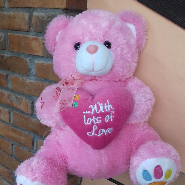 Hasil carian imej untuk ‪boneka beruang besar pink love‬‏