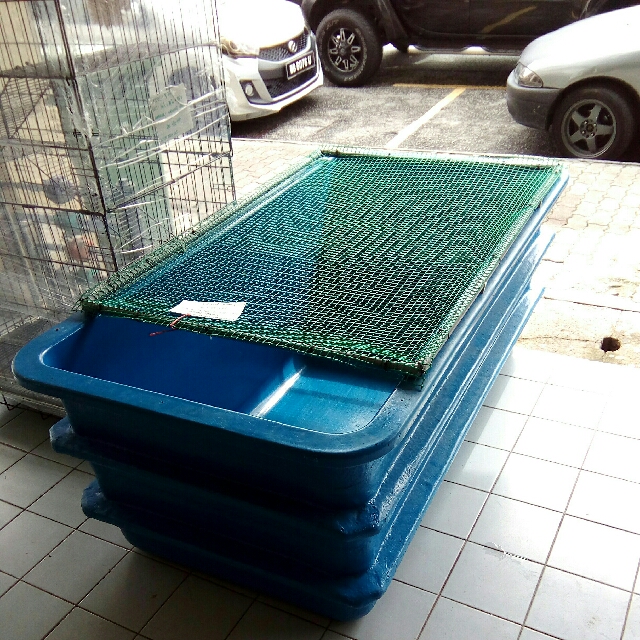 Fiber tank (second hand), Pet Supplies, Homes & Other Pet Accessories