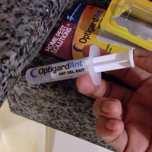 optigard ant bait gel *very effective!, TV & Home Appliances, Kitchen