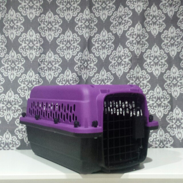 Great Choice 19 Pet Carrier for Small Dogs Cats Pets Supplies Pet Accessories on Carousell