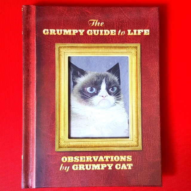 The Grumpy Guide To Life Observations By Grumpy Cat Books