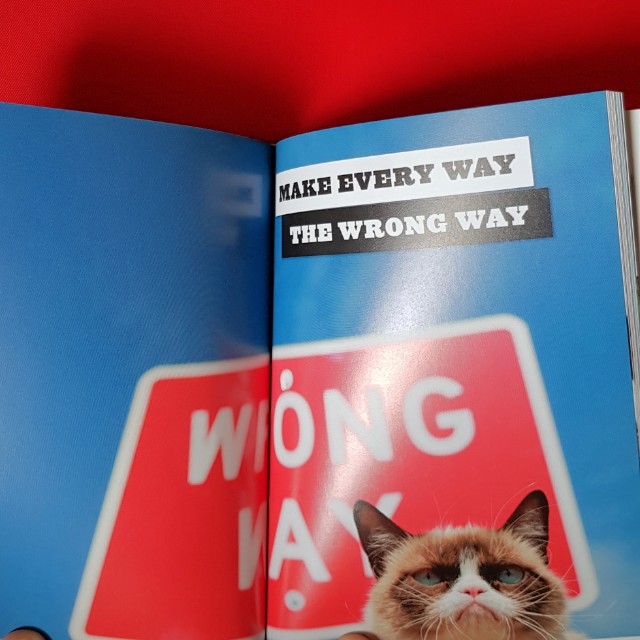 The Grumpy Guide To Life Observations By Grumpy Cat Books