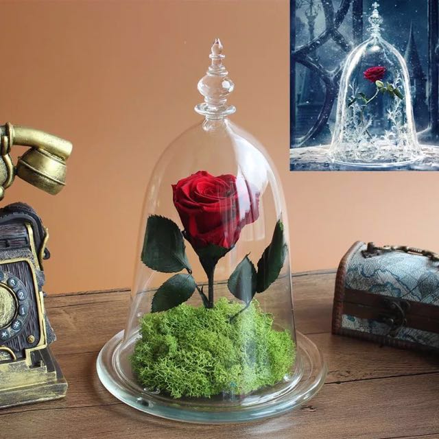 Beauty and the beast enchanted rose preserved rose glass ...