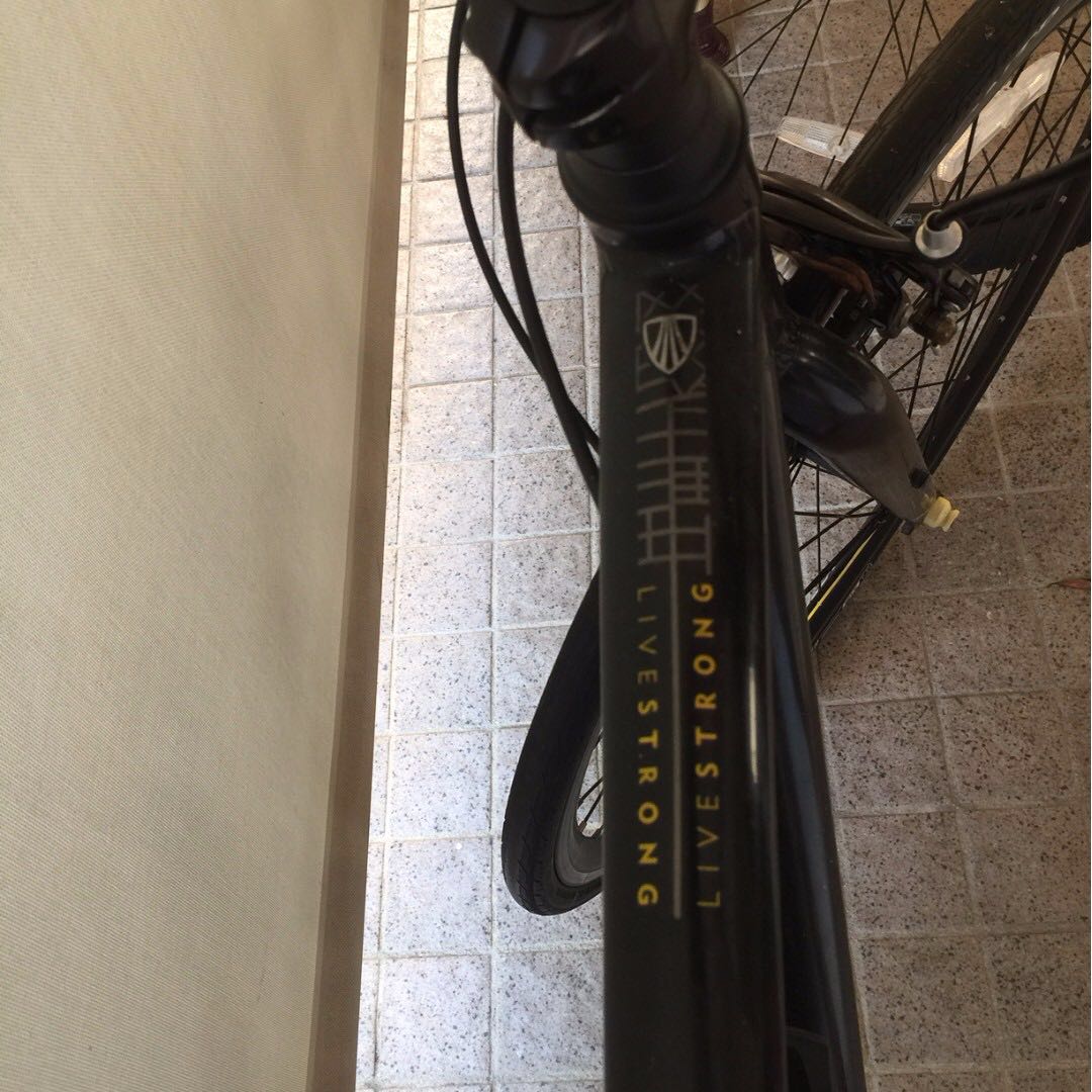 Livestrong 9th District Trek Hybrid