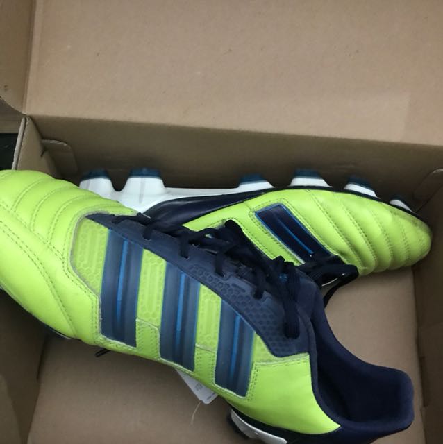 Adipower predator 2024