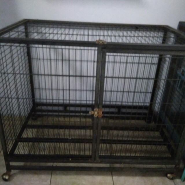 Kandang Anjing Besar Pet Supplies Accessories On Carousell