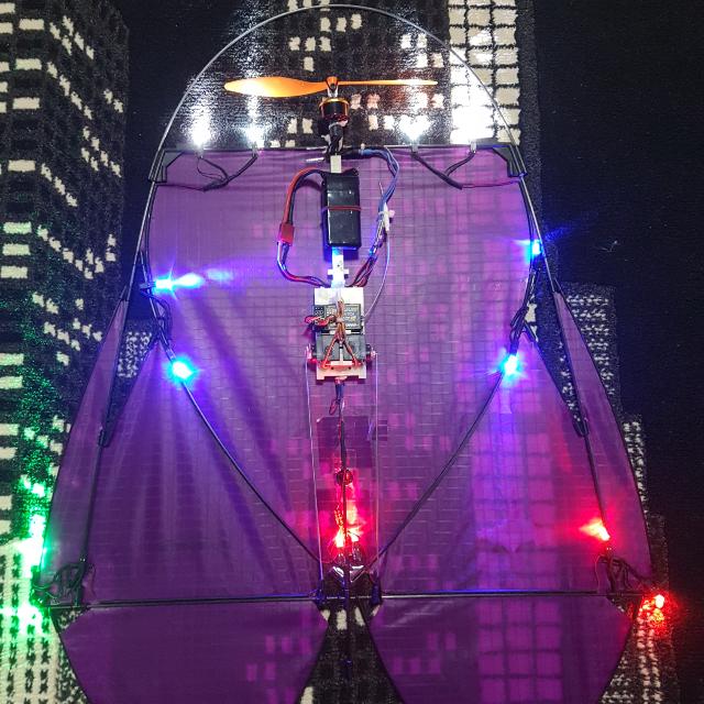 Remote Control Kite, Furniture & Home Living, Cleaning & Homecare