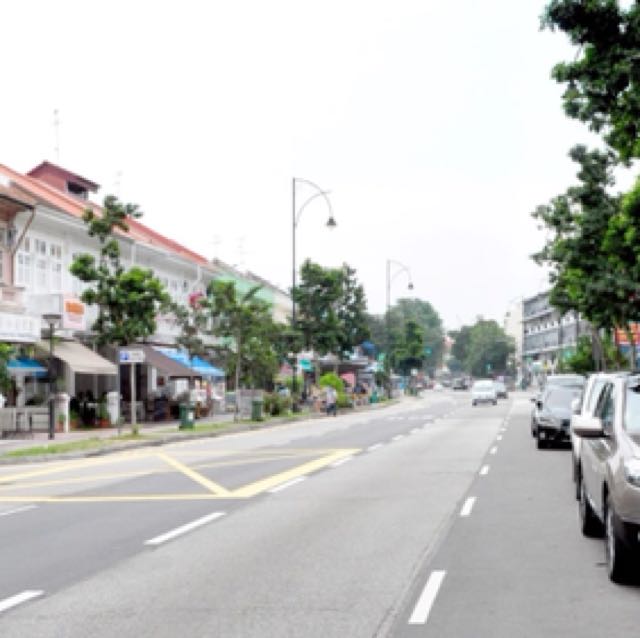 3 Bedroom Freehold Apartment For Sale At Chelsea Lodge Tanjong Katong Furniture Others On Carousell
