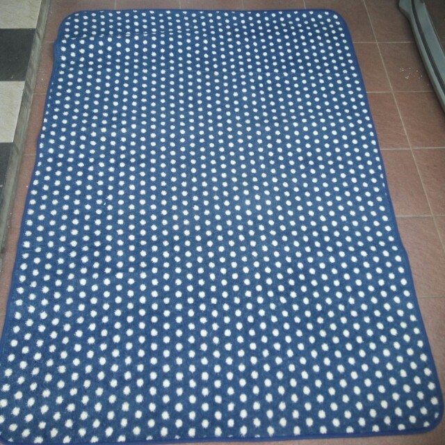 Karpet Ace Hardware 150x200 Perabotan Rumah Di Carousell