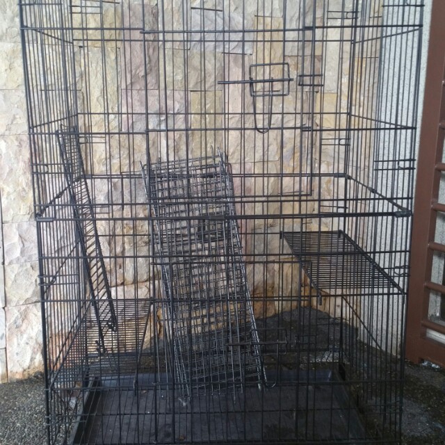 Cat Cage Pet Supplies Pet Accessories On Carousell