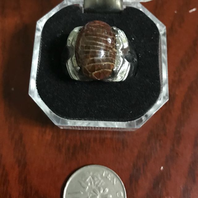 Mustika Sisik Ular Cintamani Vintage Collectibles Vintage Watches Jewelry On Carousell