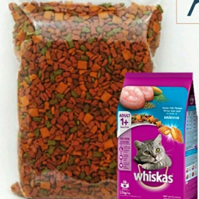 Pakan Kucing Whiskas Ocean Fish 500gram Perlengkapan Hewan Makanan Hewan Di Carousell