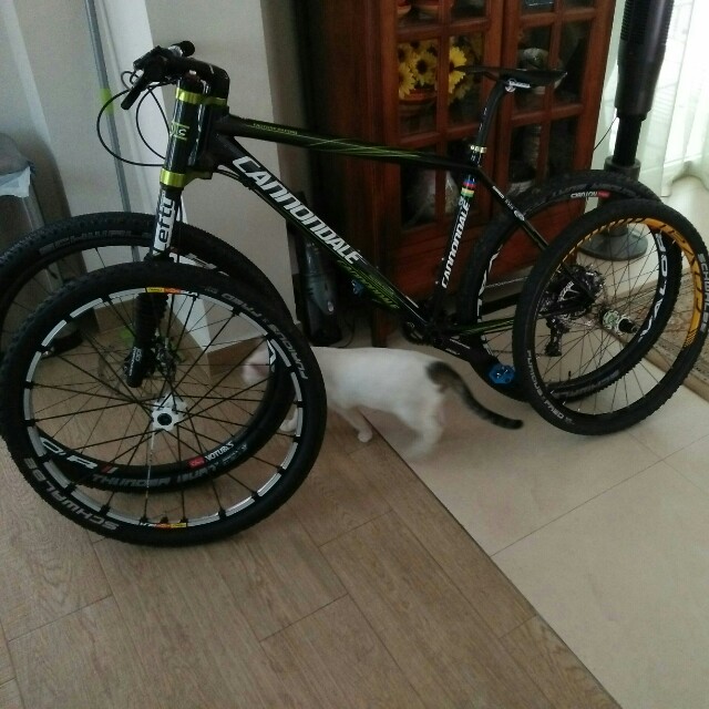 Cannondale lefty precio top