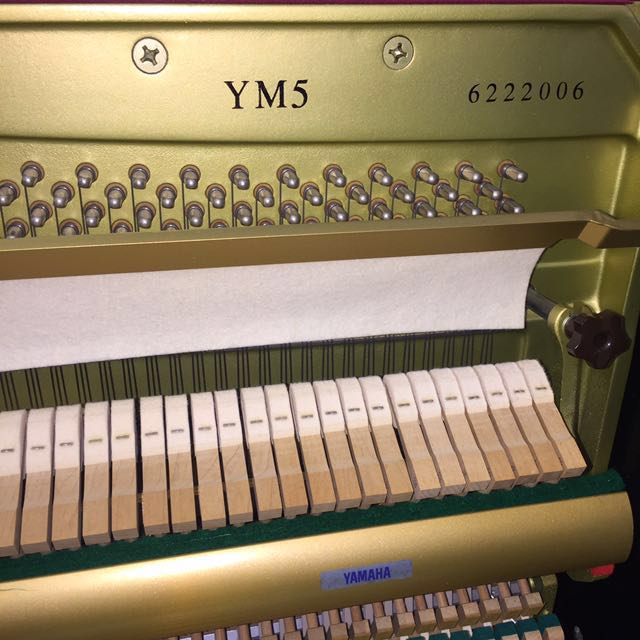 YAMAHA Piano YM5, Hobbies & Toys, Music & Media, Musical Instruments on