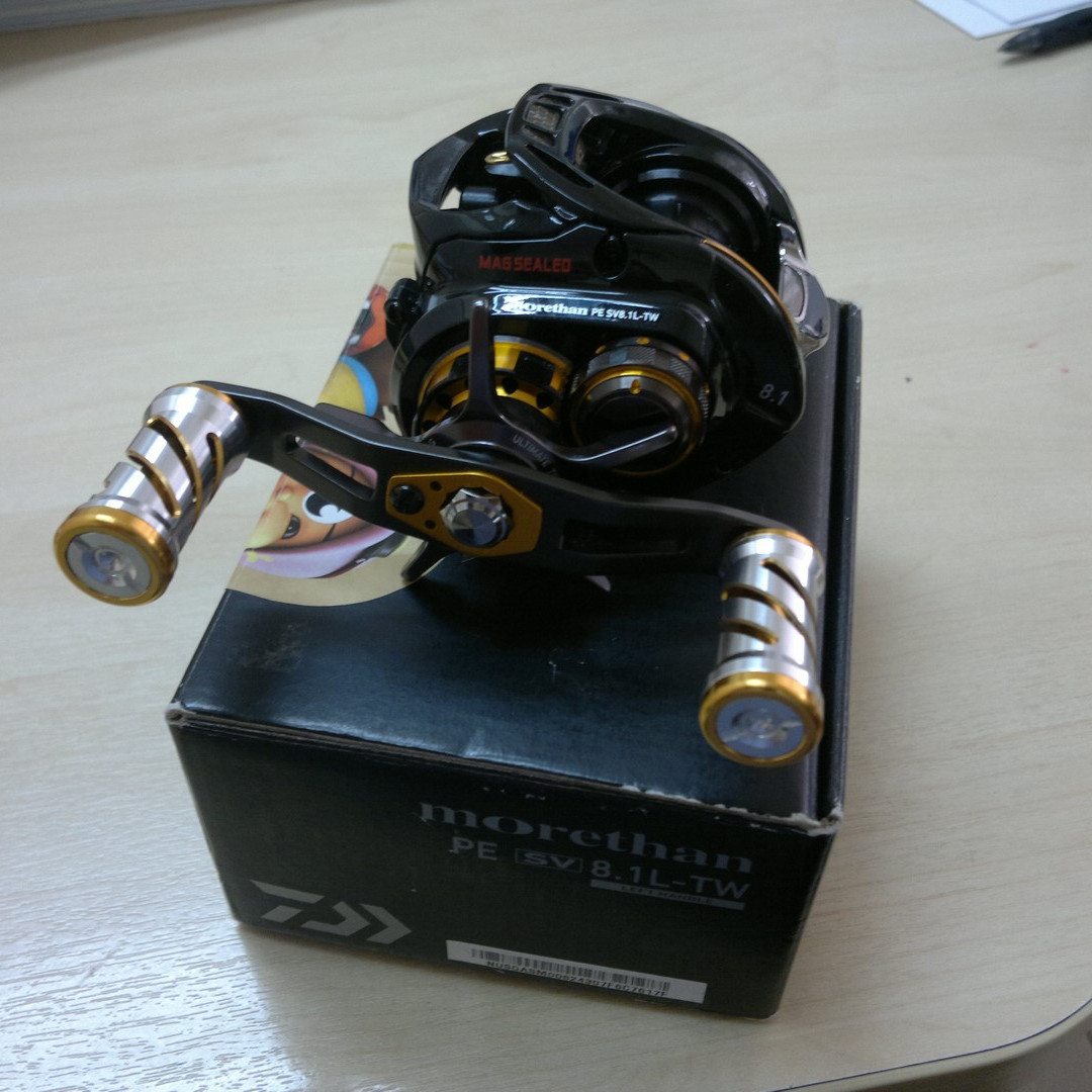 DAIWA MORETHAN PE SV 8.1L-TW Baitcasting Reel, Sports Equipment