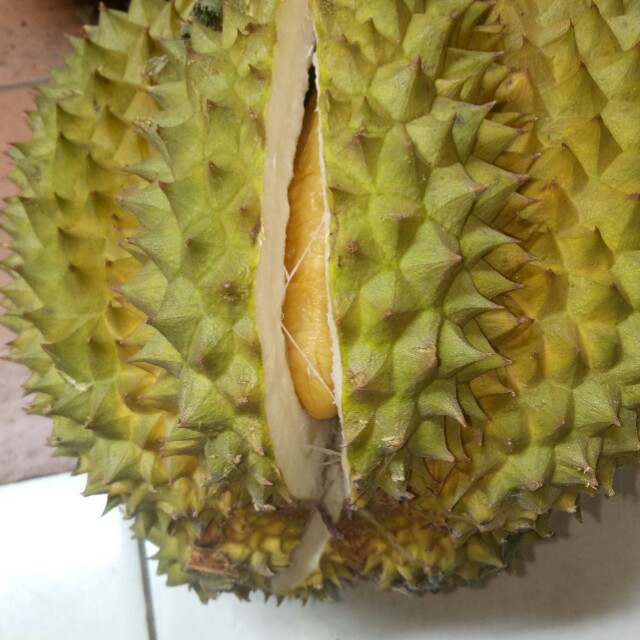Unduh 91 Gambar Durian Mentega Terbaik 