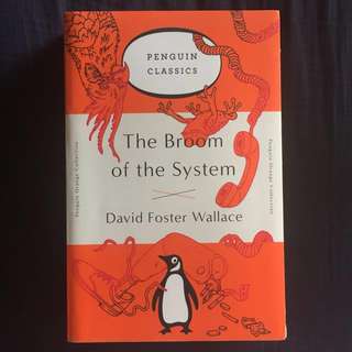 The Broom of the System