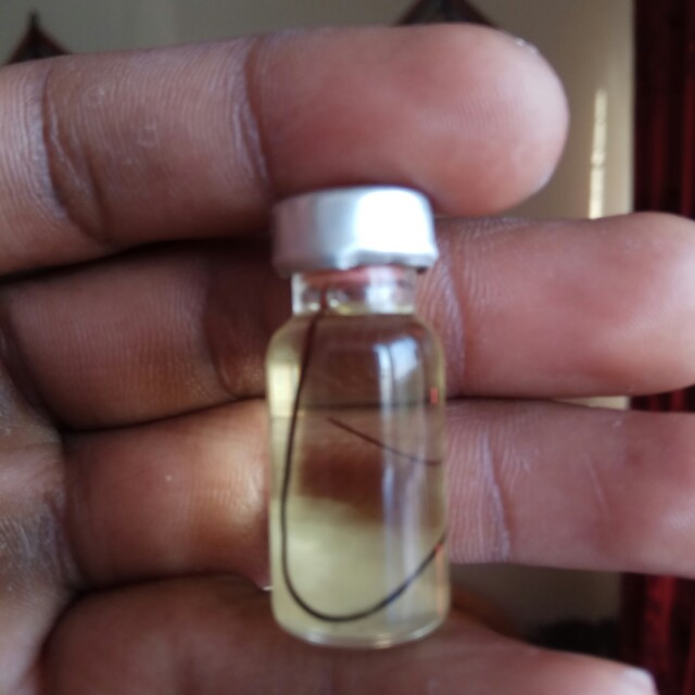 Minyak Bulu Perindu Asli Dari Org Dayak On Carousell