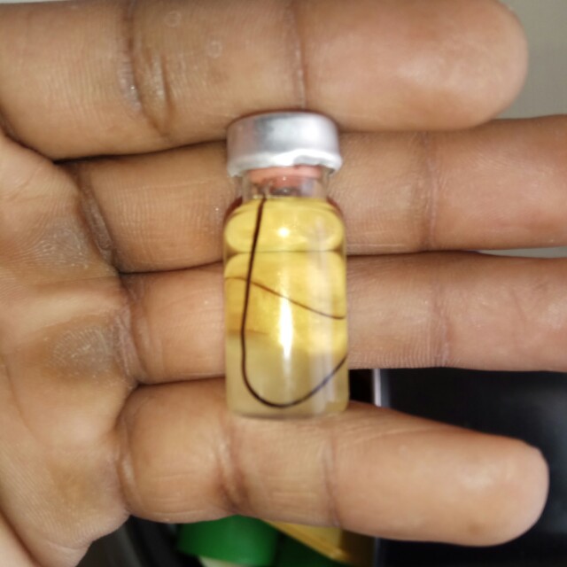 Minyak Bulu Perindu Asli Dari Org Dayak On Carousell
