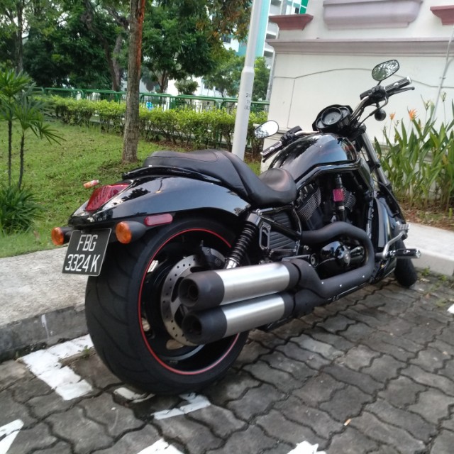 2007 night rod online special for sale