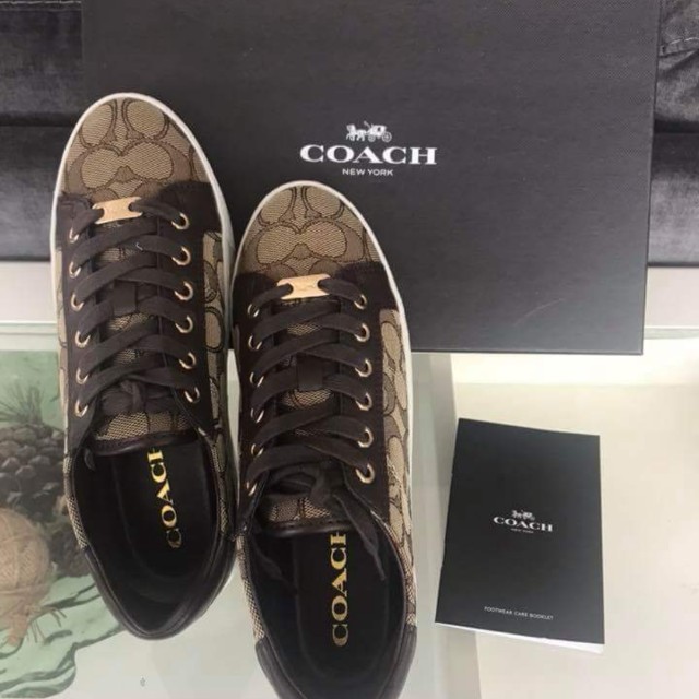 coach paddy sneakers