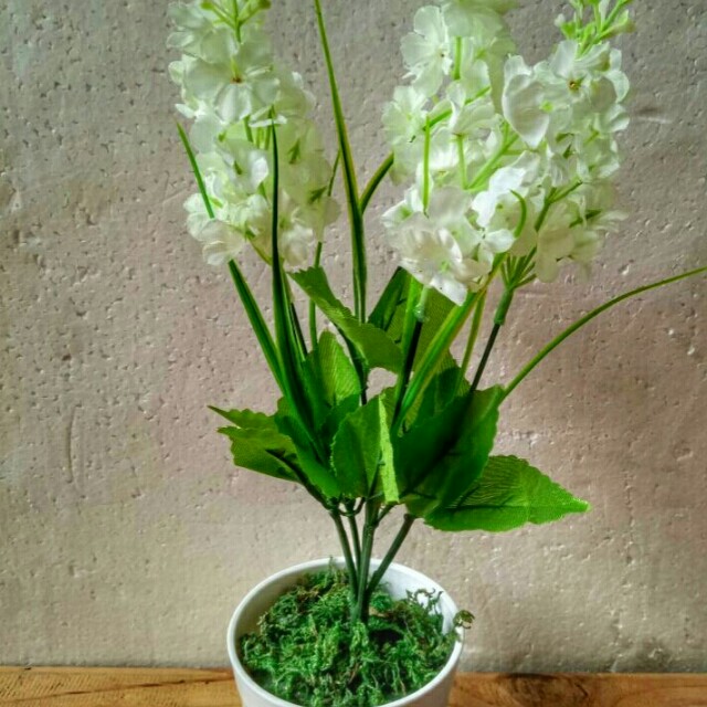 Bunga Lavender Dan Pot Putih Perabotan Rumah Di Carousell