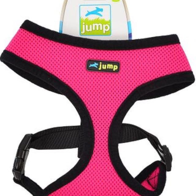 Jump dog harness sales