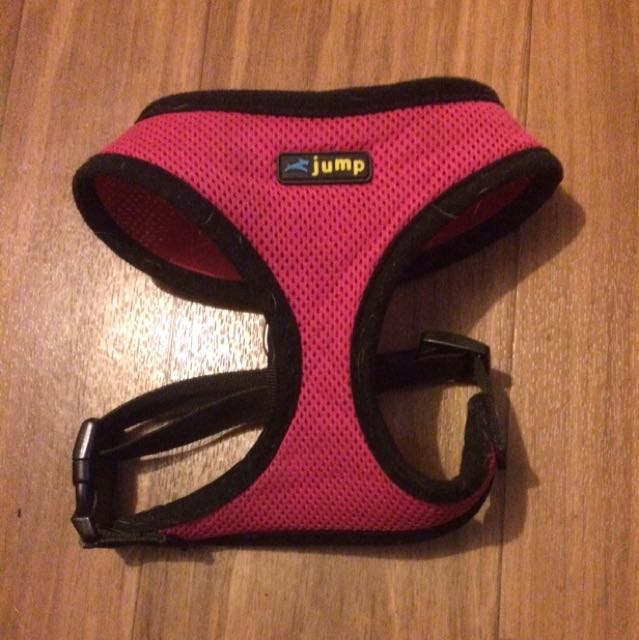 Jump brand dog harness deals