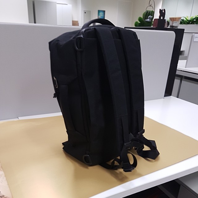 Hellolulu Dillion 3 Way Backpack Great for students short trips Men s Fashion Bags Backpacks on Carousell