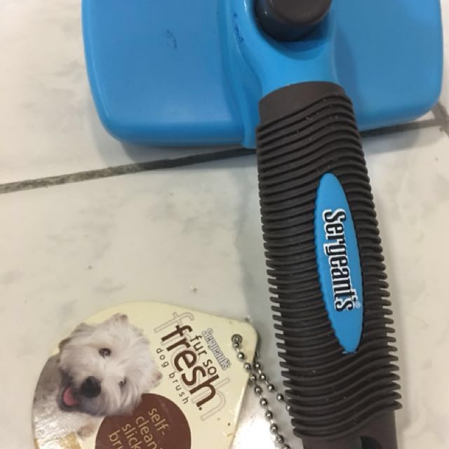 dog equipment for sale