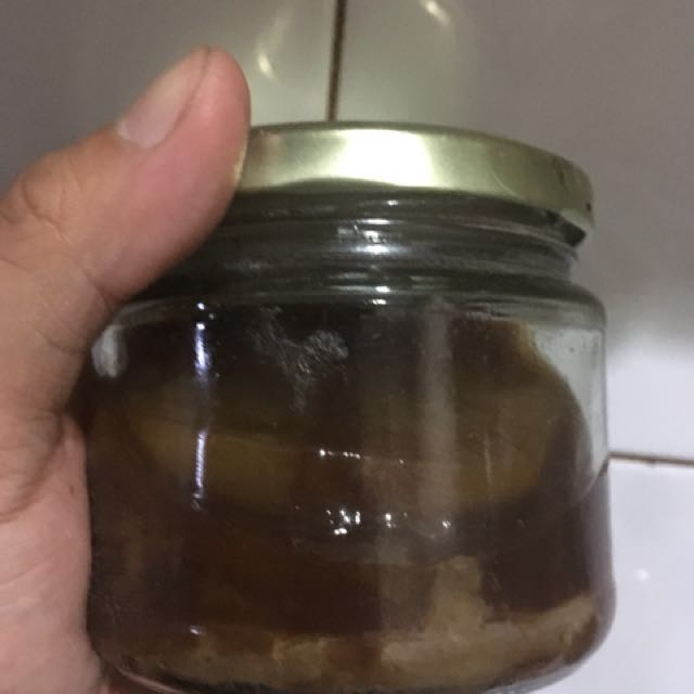 Scoby for kombucha (Category: Beverages) located in Makati City. Submitted by dame13 (Listing ID 140397660, Image 3). Description: Live Scoby with starter tea for kombucha (fermented tea).