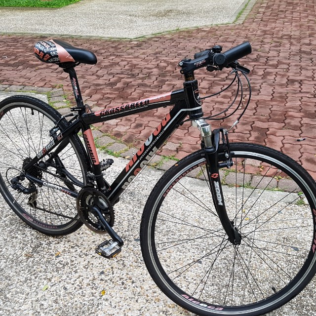 aleoca hybrid bike