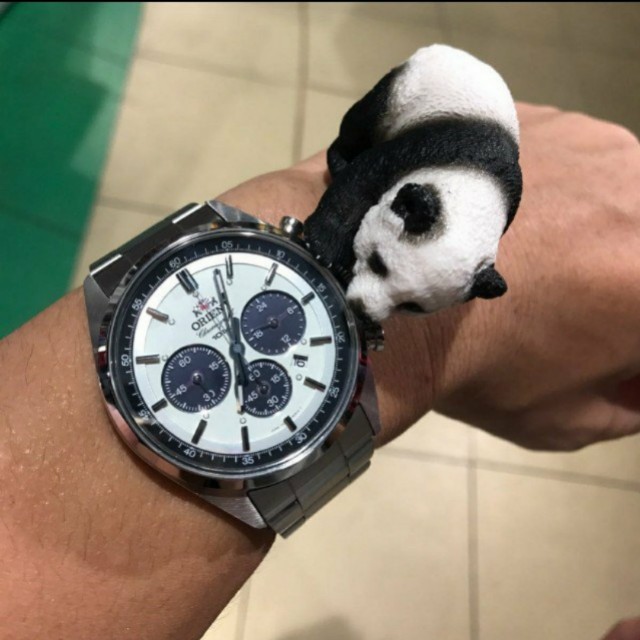orient panda chronograph automatic