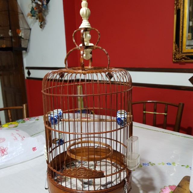 Burung Mata Putih Cage Pet Supplies On Carousell